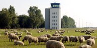 Schafe grasen auf einer grünen Wiese vor einem Turm. Am Bildrand liegt der Auschnitt von einer Landebahn.