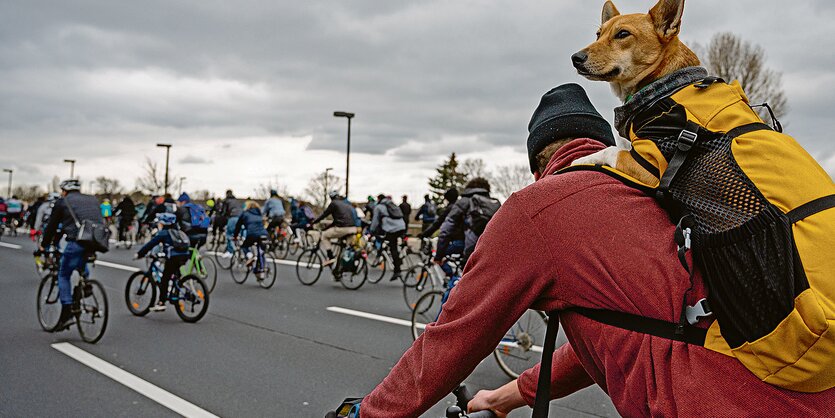 Bei einer Fahrraddemonstration „#A100stoppen – Lebenswertes Berlin für alle!“ fährt ein Fahrradfahrer mit seinem Hund auf einem gesperrten Teil der Autobahn 100 mit einem Hund im Rucksack.