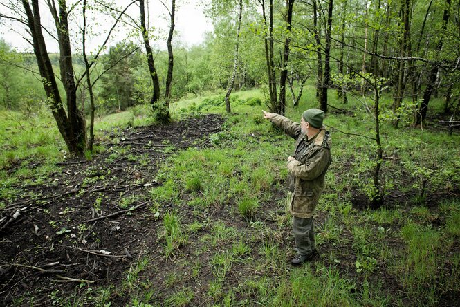 Mann im Wald