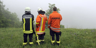 drei feuerwehrleute stehen mit dem rücken zur kamera auf einer wiese