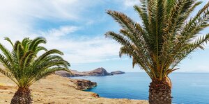 Palmen am Strand auf Madeira