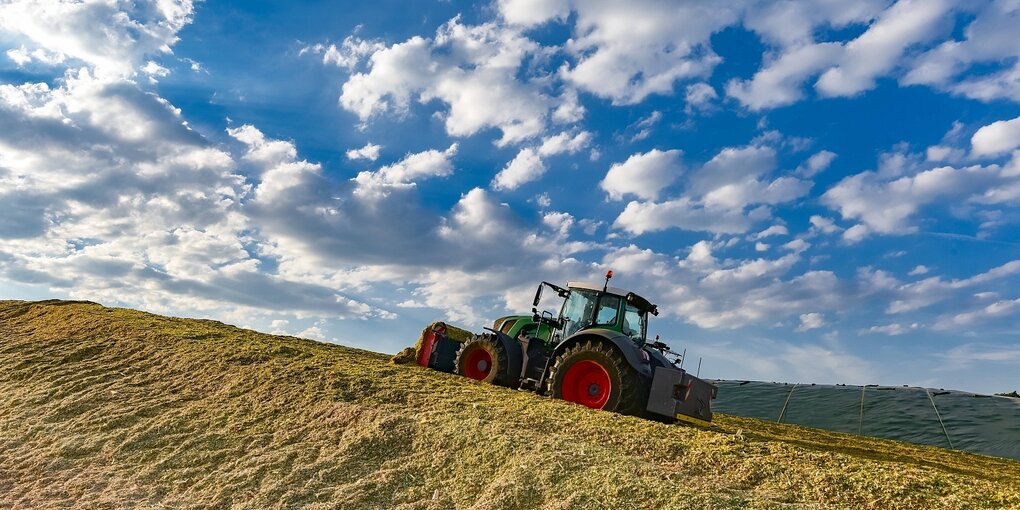 Eine Trator auf einem Maisfeld unter blau-weißem Wolkenhimmel