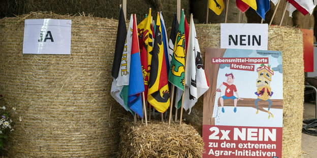 Schweiz, Bern: Zahlreiche Kantonsfahnen stecken in einem Heuballen mit der Aufschrift «Nein» während der Volksinitiative «Für eine Schweiz ohne synthetische Pestizide» an. Die Schweizer haben in einer Volksabstimmung zwei Initiativen für mehr Umweltschutz