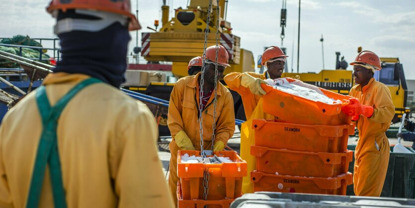 Mitglieder der Besatzung eines Fischereifahrzeugs entladen Fisch am Hafen