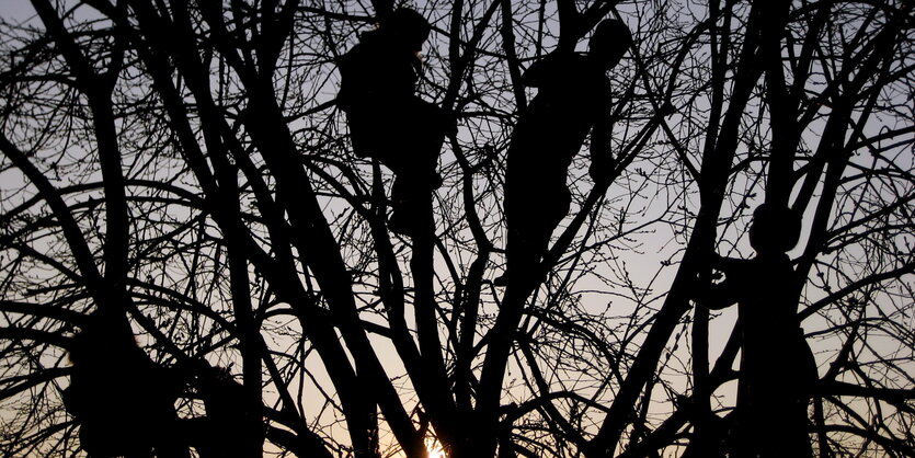 Kletternde Kinder in einem Baum