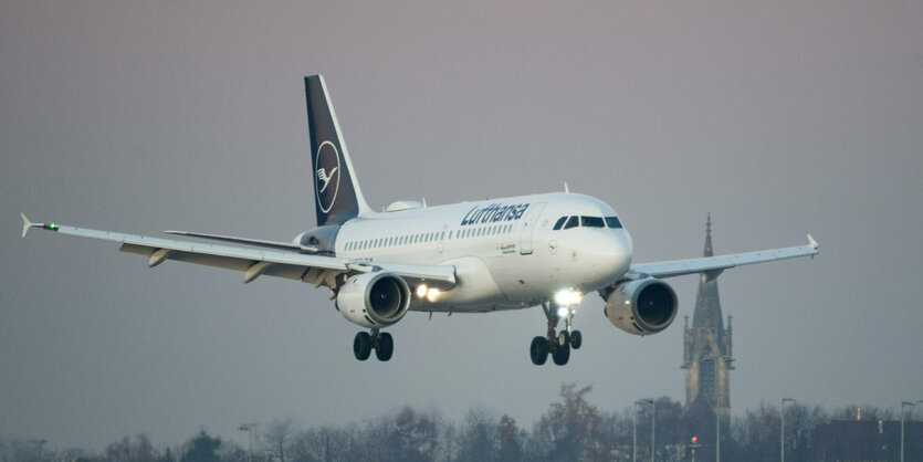 Ein Flugzeug im Landeanflag