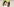 Billie EIlish mit Hand vorm Gesicht