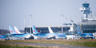 Mehrere Flugzeuge der Firma Tuifly stehen vor dem Flughafen Hannover