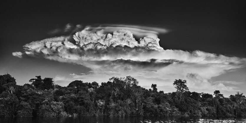 Regenwald mit Wolken