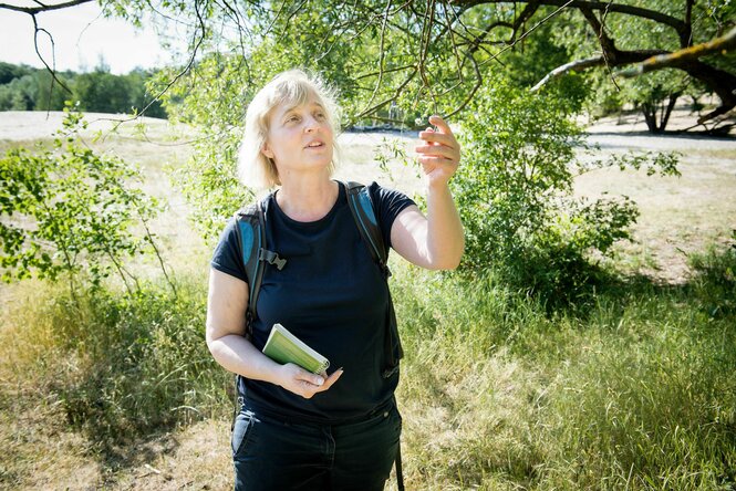 Waldforscherin Nicole Wellbrock prüft Blätter