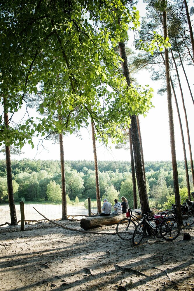 Menschen machen Pause auf einem Stamm im Grunewald