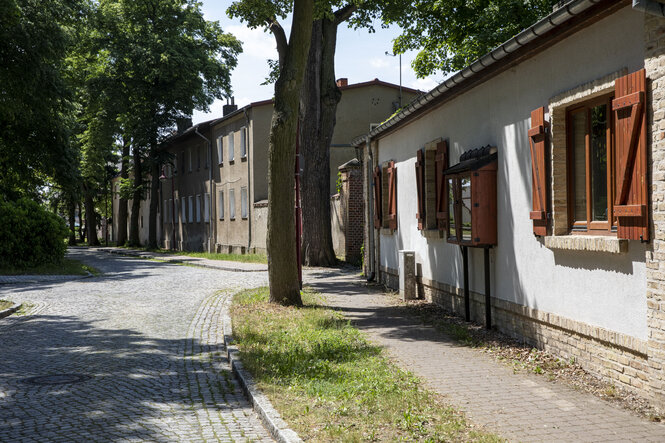 Kopfsteinpflaster, alte Häuser mit Bäumen