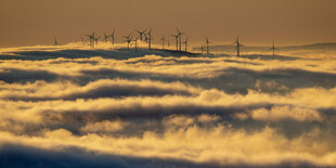 Windräder über den Woken