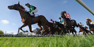 Pferde und Jockeys bei einem Rennen