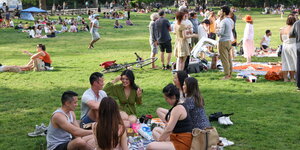 Verschiedene Menschengruppen sitzen im Park