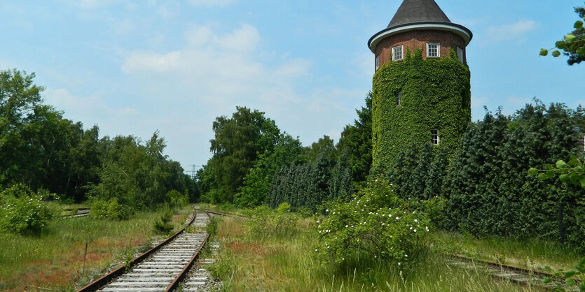 Von Gras überwucherte Bahngleise führen an einem alten Wasserturm vorbei, der mit Efeu überwuchert ist