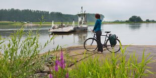 Radfahrerin wartet auf die Fähre um die Elbe zu überqueren