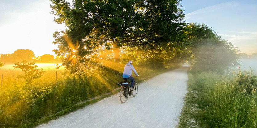 Radler im Sonnenaufgang zwischen grünen Bäumen