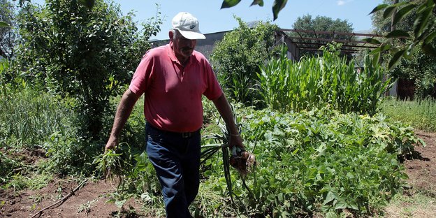 Ein Mann trägt Pflanzen in einem Garten
