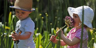 Zwei kleine Kinder mit Hut gehen durch eine hohe Wiese