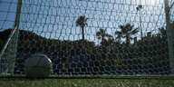 Ein Ball im Fußballtor vor Palönmen und blauem Himmel