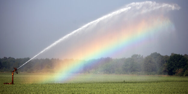 Eine Beregnungsanlage verteilt in hohem Bogen Wasser auf einer Ackerfläche, so dass ein Regenbogen entsteht.