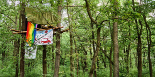 Baumhaus im Wald