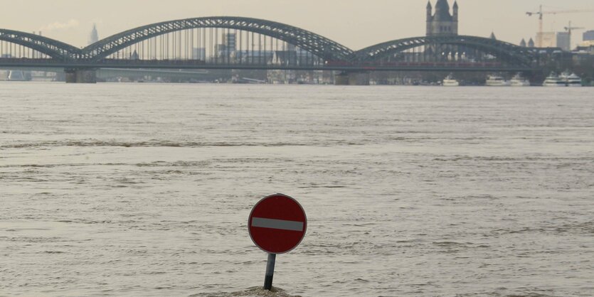 Hochwasser, im Hintergrund eine Brücke.