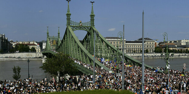 eine Menschenmenge vor und auf einer Brücke über die Donau