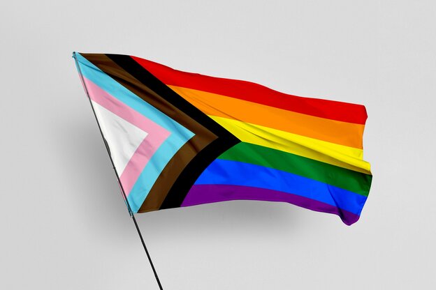 Regenbogenflagge mit Dreieckmuster in den Farben weiss rosa helblau braun schwarz