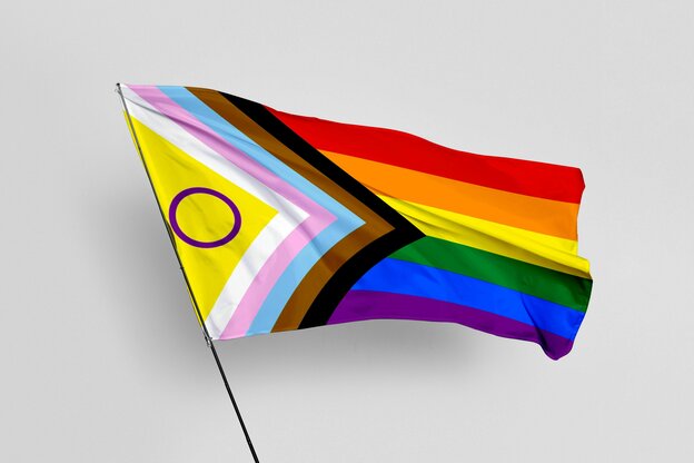 Regenbogenflagge mit Dreieckmuster gelb mit lila Kreis, weiß, rosa, helblau, braun, schwarz
