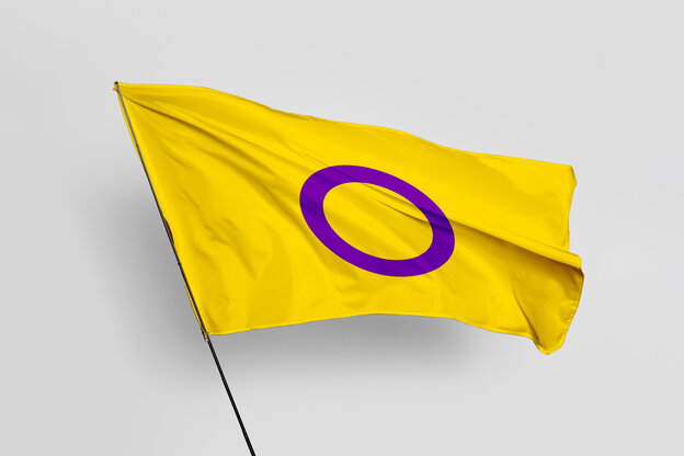 Glebe Flagge mit mittigen lila Kreis