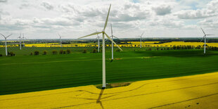 Windräder in einem blühenden Rapsfeld