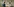 Die beiden Schauspieler:innen Tom Schilling (l.) und Katharina Schüttler (r.) stehen vor einer Wand, auf der sehr viele Fotos von ihnen abgebildet sind. Dazwischen stehen mathematische Zeichen wie Plus und Istgleich