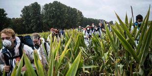 Menschen in weißen Anzügen in einem Maisfeld.