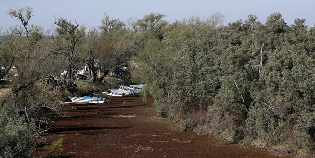 Das ausgetrocknete Flussbett, umrahmt von Vegetation. Boote liegen auf dem Grund