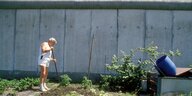 Schrebergärtner pflegt seinen Garten an der Berliner Mauer, 1986