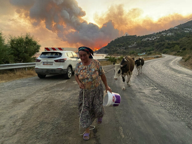 Eine Frau geht mit Tieren über eine Straße, im Hintergrund Feuer.