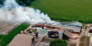 Rauch steigt über einem Schweinestall auf, der in Brand geraten ist.