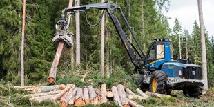 Ein Holzvollernter im Wald.