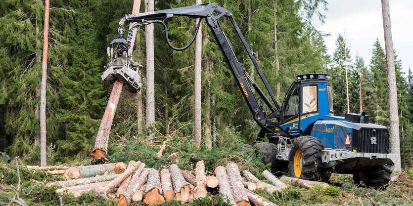 Ein Holzvollernter im Wald.