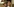 Filszene aus dem Film "Jungle Cruise" mit Jack Whitehall