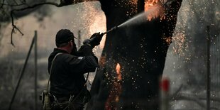 Evia: Ein Feuerwehrmann spritzt Wasser auf einen brennenden Baum während der Löscharbeiten eines Waldbrandes im Dorf Asmini.