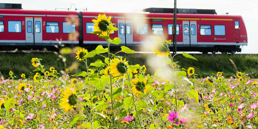 Eine S-Bahn der Deutschen Bahn (DB) fährt durch die Landschaft