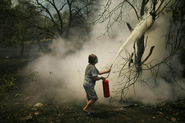 Eine Frau versucht einen brennenden baum mit einem feuerlöscher zu löschen