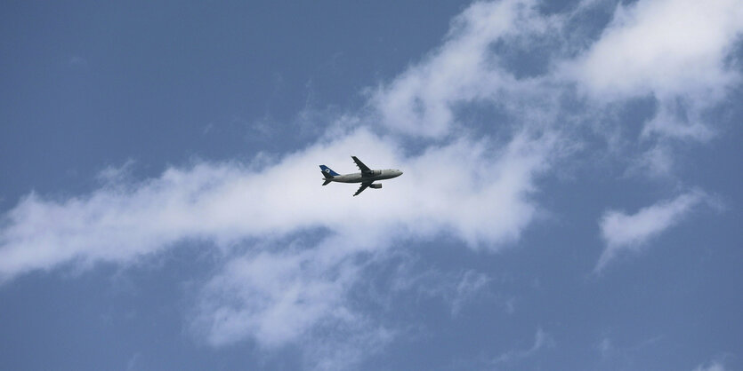 Flugzeig in der Luft