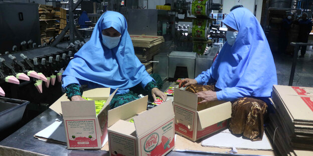 Zwei Frauen in Burka bpacken Stieleis in Kartons