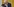 Joe Biden haelt inne am Rednerpult