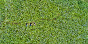 Drei Menschen sind von oben fotografiert, wie sie in einem grünen Feld liegen