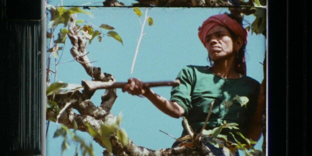 Eine Frau schneidet Äste von einem Baum